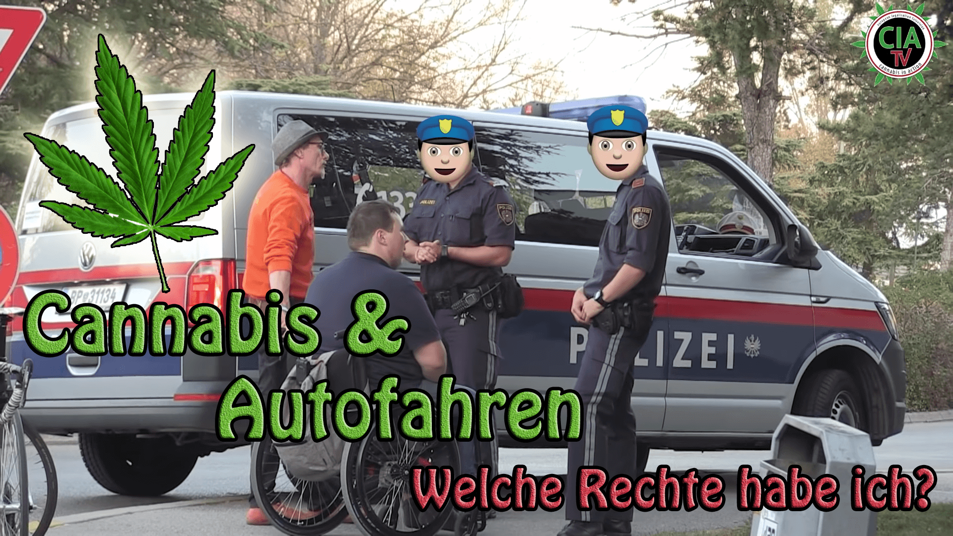 Mit Cannabis Auto fahren  - Welche Rechte hast du bei der Polizei