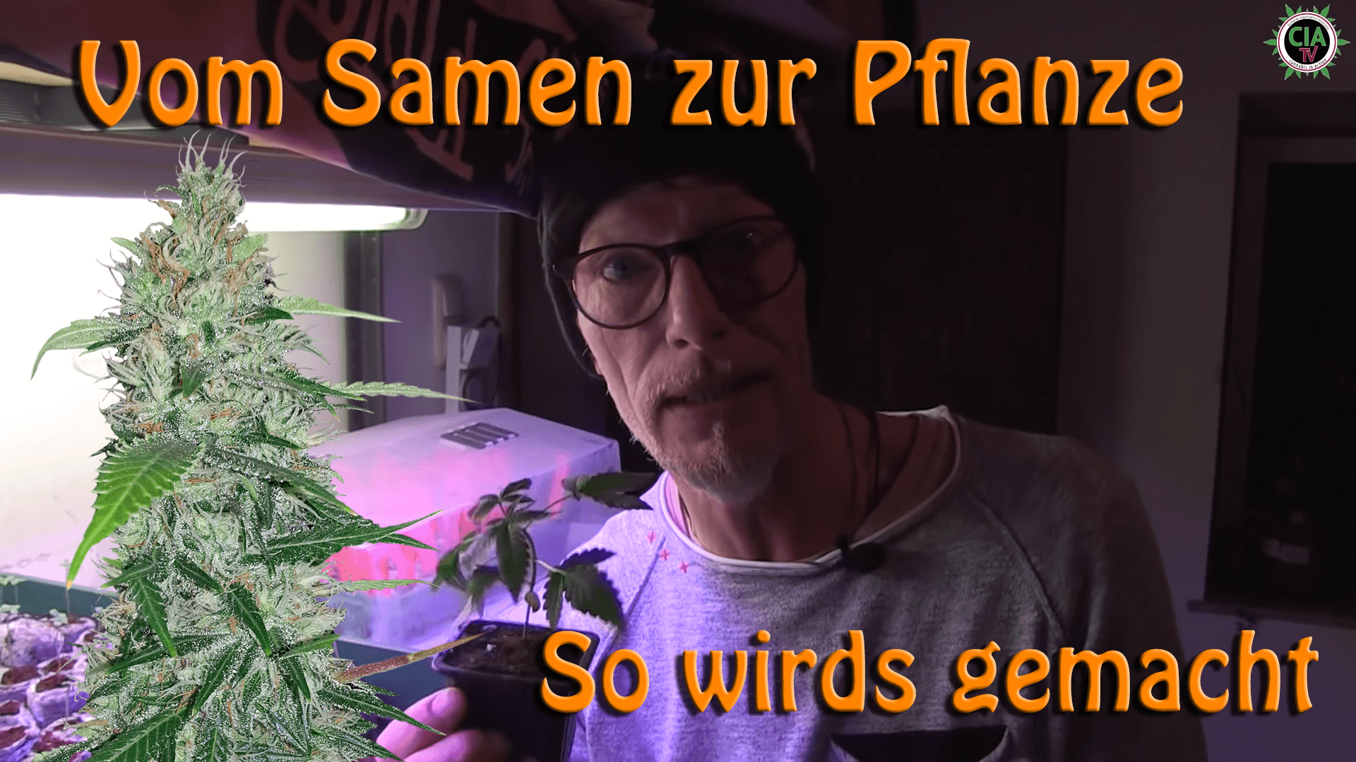 Vom Samen zur Pflanze - So wirds gemacht