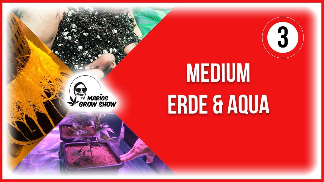 Marios Grow Show | Folge 3 - Medium, Erde & Aqua