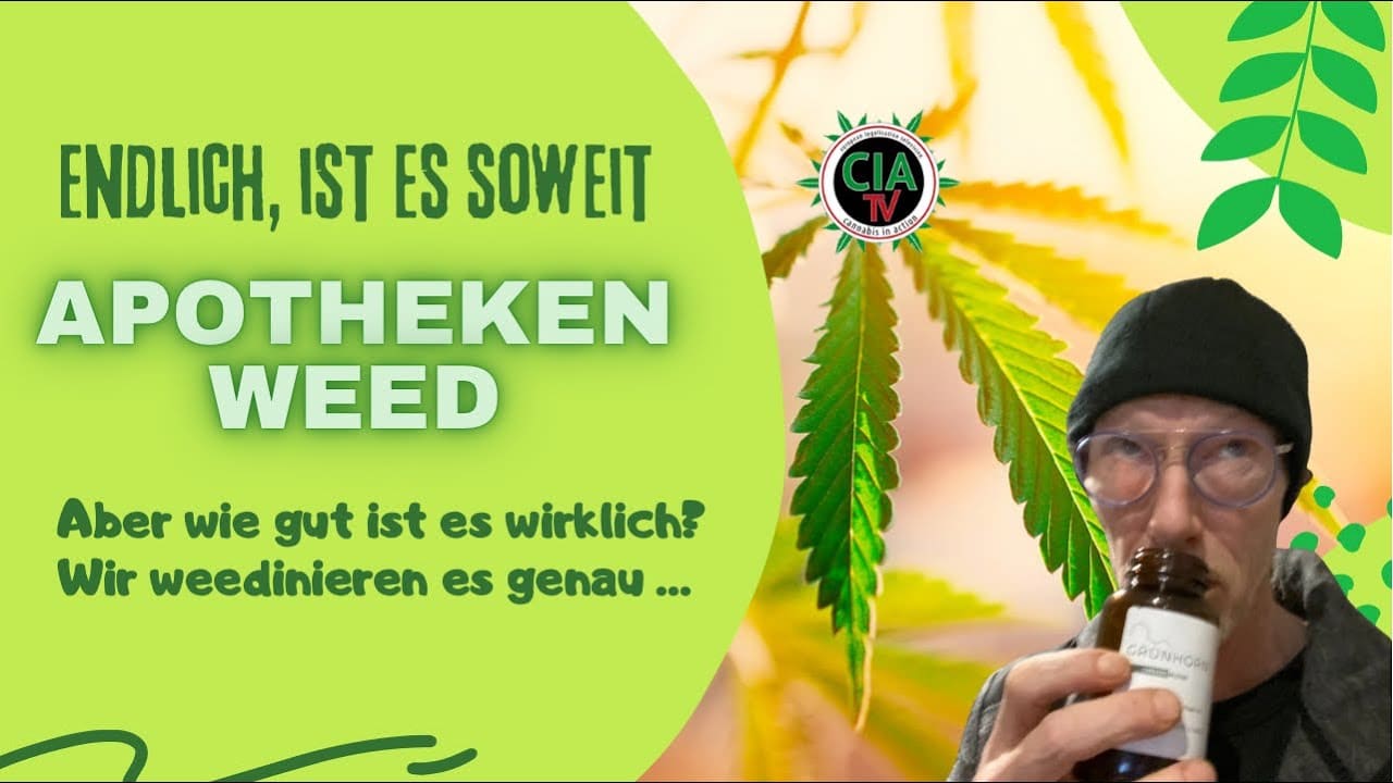 ApoWeed, endlich da, aber wie gut ist es wirklich? Straintalk LIVE